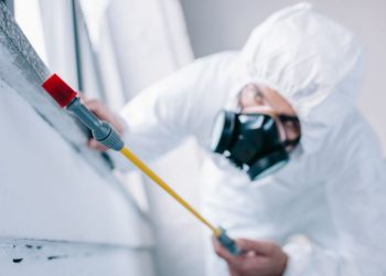 Pest-Control