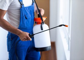 Pest-Control-Perth-Treatment