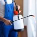 Pest-Control-Perth-Treatment