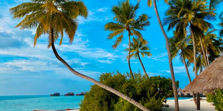 Summer-Vacation