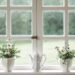 Living-Space