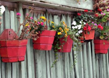 Beautiful-Planters