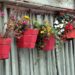 Beautiful-Planters