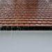 Your-Roof