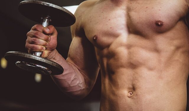 Muscle-Growth