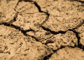 soil-mechanics
