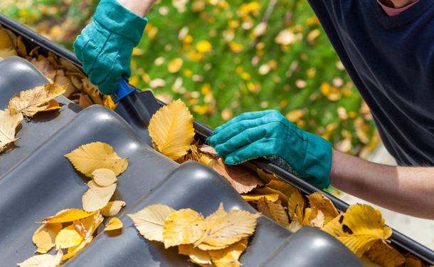 Gutter-Cleaning
