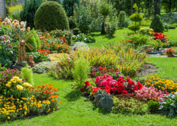 Garden-Maintenance