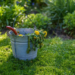Weed-Killer