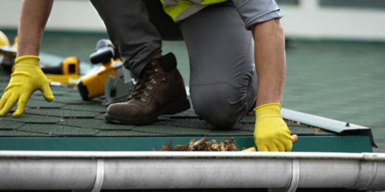 Gutter-Cleaning