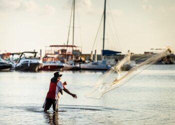 Sustainable-Fishing
