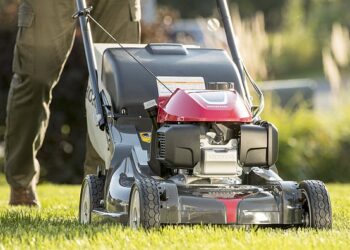 Instant-Lawn