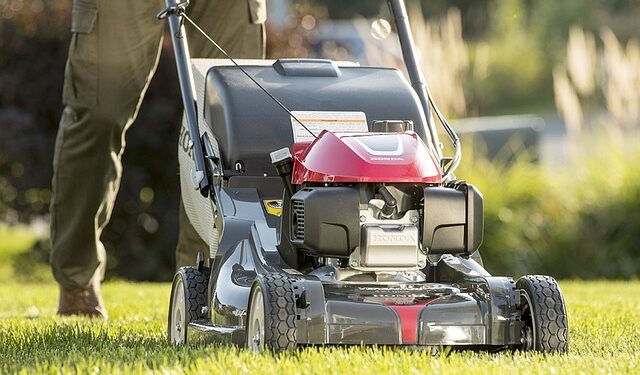 Instant-Lawn