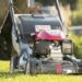 Instant-Lawn